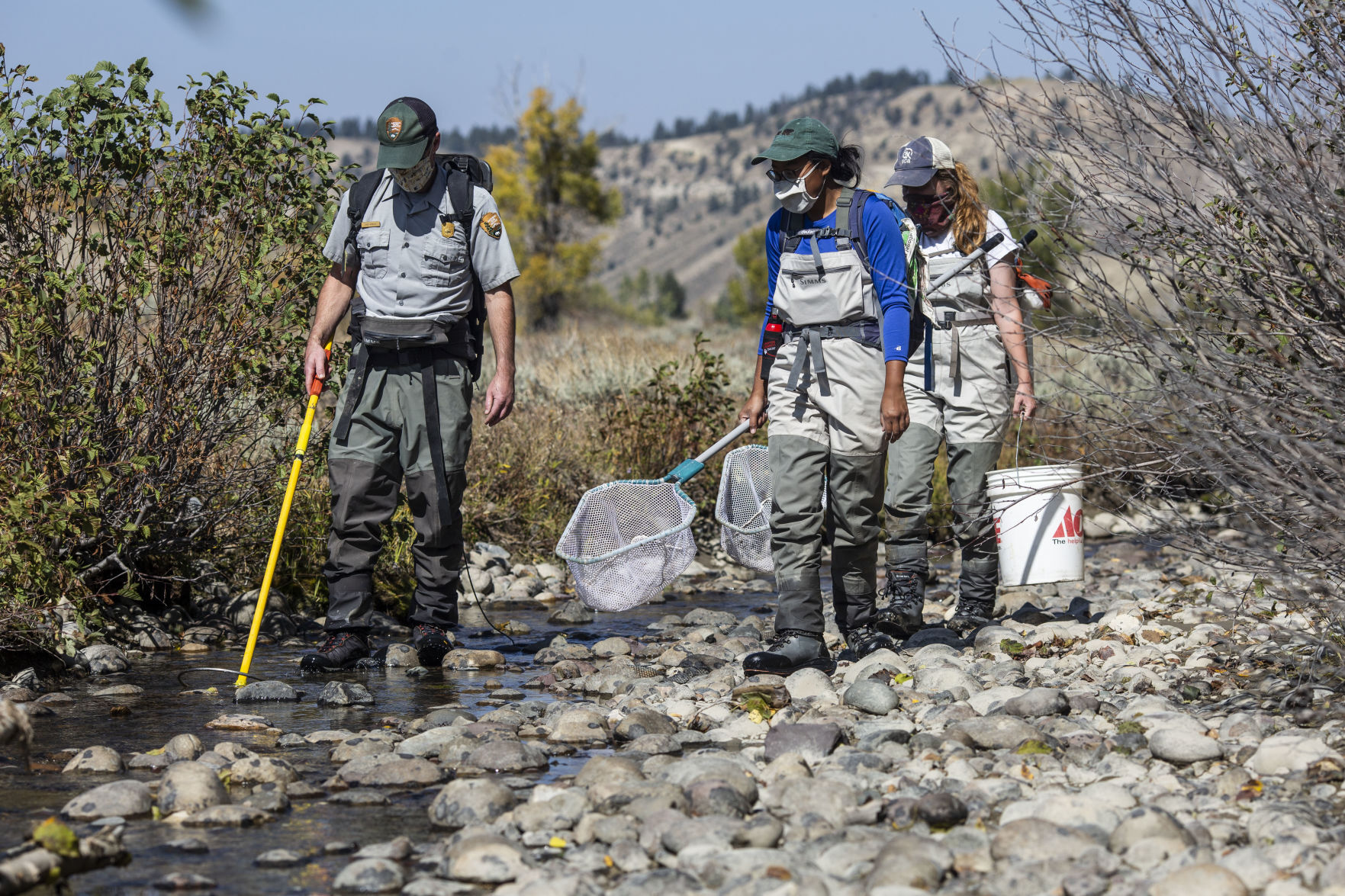 Spread Creek diversion fish salvage